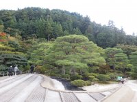 20121026_143837.jpg